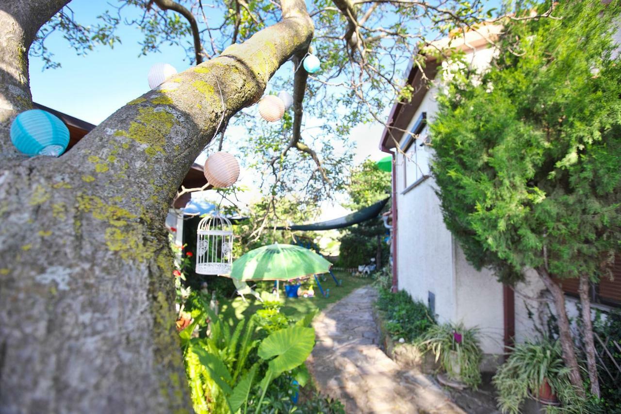 Apartments Baredi อิซอลา ภายนอก รูปภาพ